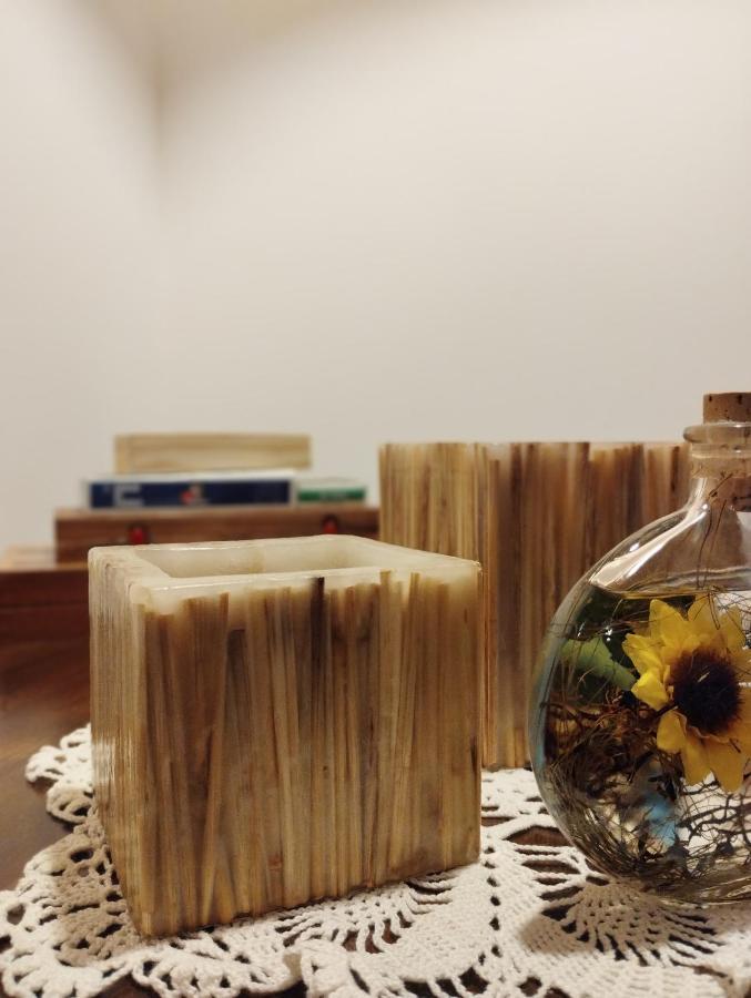 A Casa Di Esther 博洛尼亚 外观 照片